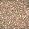 Champagne Ice Antique Seed Beads