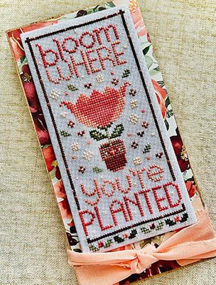 Bloom Where You're Planted