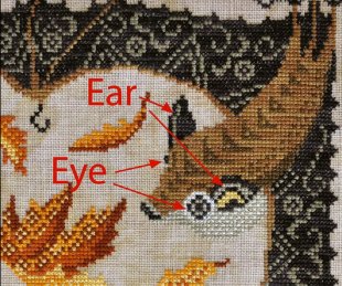 Year In The Woods 10 - The Little Brown Bat