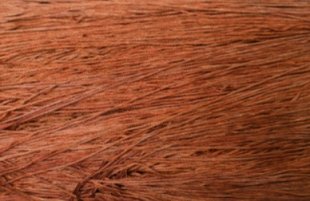 Chestnut