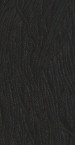 Black Licorice