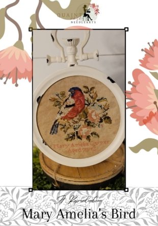 Mary Amelia's Bird