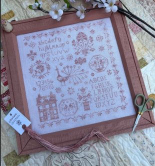 Pink Peacock Sampler