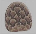 Small Pine Cone Button