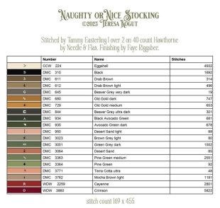 Naughty or Nice Stocking