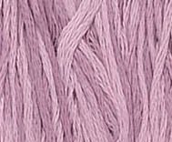 Lavender Rose