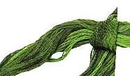English Ivy