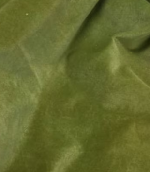 Pea Pod Velveteen