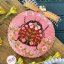Ladybug Picnic