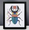 Stitchy Bug