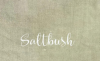 Saltbush