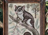 The Sugar Glider