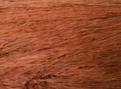 Chestnut