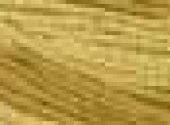 Honey Comb