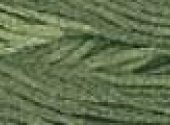 Weeping Willow