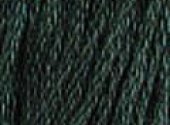 Blue Spruce